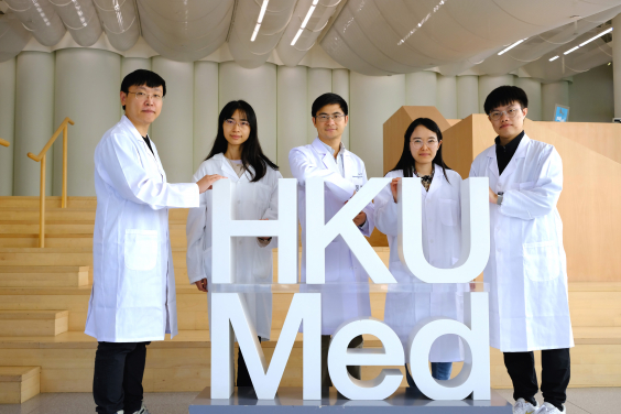 A research team from HKUMed developed a photoactivatable prodrug nanomedicine for age-related macular degeneration (AMD) therapy. The research team members include: (from left) Dr Li Jia, Xu Shuting, Dr Wang Weiping, Dr Fan Ni, and Long Kaiqi.
 